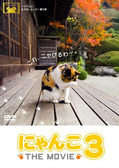 猫咪物语3的海报-正式海报
