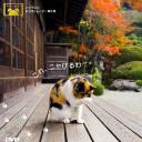 猫咪物语3