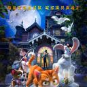 魔法总动员