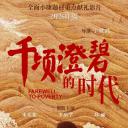 千顷澄碧的时代