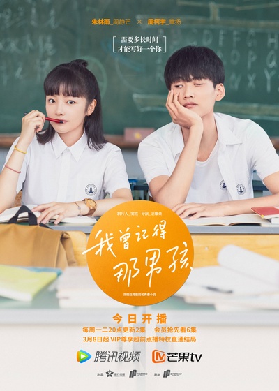我曾记得那男孩的海报-正式海报