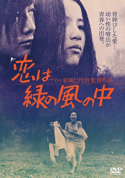 绿风中的爱恋的海报-其他海报 日本