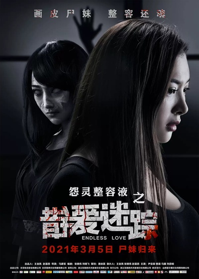 错爱迷踪的海报-正式海报