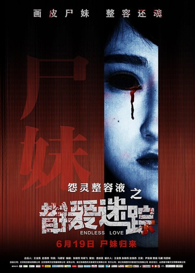 错爱迷踪的海报-正式海报