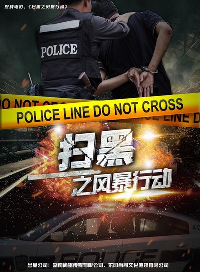 扫黑之风暴行动的海报-正式海报