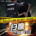 扫黑之风暴行动