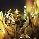 圣斗士星矢：黄金魂