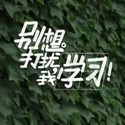 别想打扰我学习的海报-预告海报