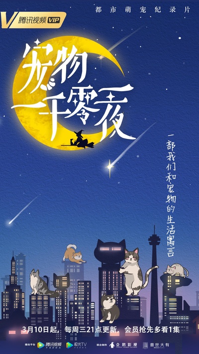 宠物一千零一夜的海报-正式海报