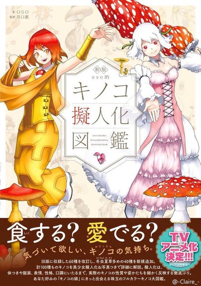 森林的妖精蘑菇娘的海报-正式海报