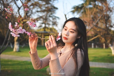 城市让你慢下来的角落的图片-玄武湖公园，春和景明
