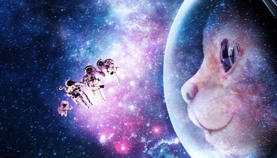 喵星人的海报-预告海报