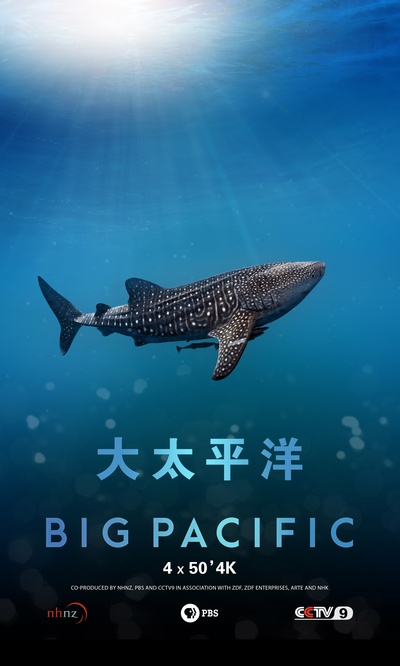 大太平洋的海报-正式海报 中国大陆