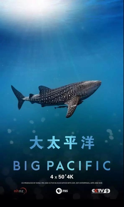 大太平洋的海报-正式海报