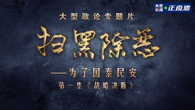 扫黑除恶——为了国泰民安的海报-预告海报 中国大陆