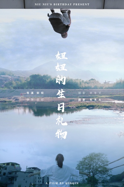 妞妞的生日礼物的海报-正式海报