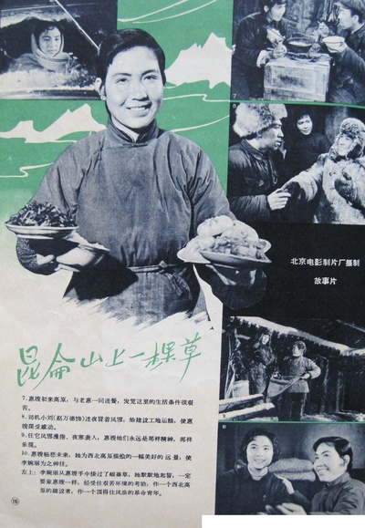 昆仑山上一棵草的海报-其他海报