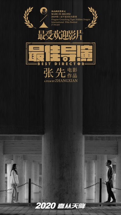 最佳导演的海报-其他海报