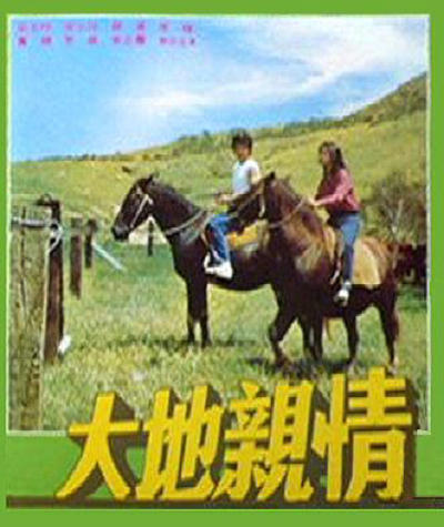 大地亲情的海报-正式海报