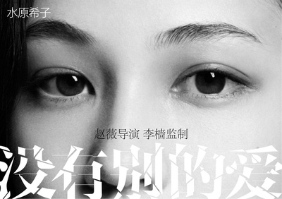 没有别的爱的海报-其他海报