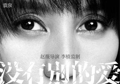 没有别的爱的海报-其他海报