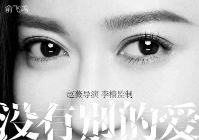 没有别的爱的海报-其他海报