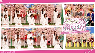 大好き！櫻坂46 ～芸能界“櫻”満開計画&ライブ映像蔵出しSP～的海报-正式海报