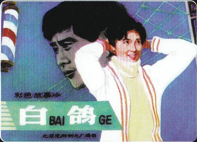 白鸽的海报-其他海报