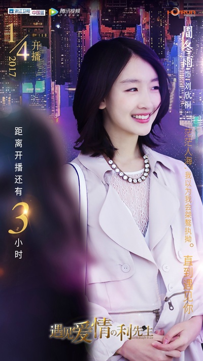 遇见爱情的利先生的海报-预告海报 中国大陆