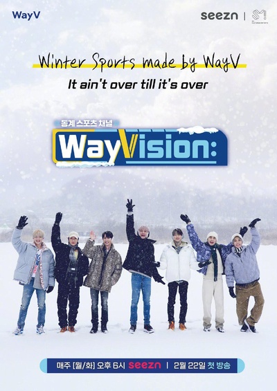 WayVision 2的海报-正式海报