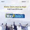 WayVision 2