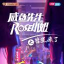 咸鱼先生，Rose小姐之彗星来了