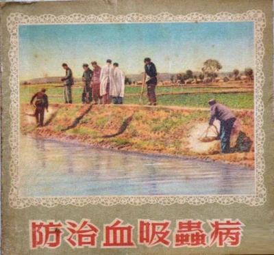 防治血吸虫病的海报-正式海报