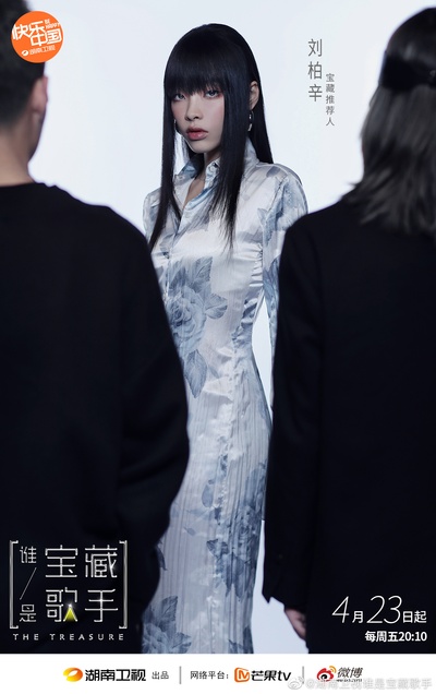 谁是宝藏歌手的海报-角色海报