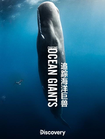 追踪海洋巨兽的海报-正式海报