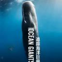 追踪海洋巨兽