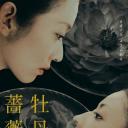 牡丹与玫瑰