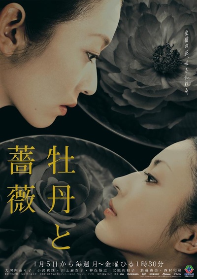 牡丹与玫瑰的海报-正式海报