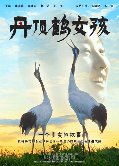 丹顶鹤女孩的海报-预告海报 中国大陆