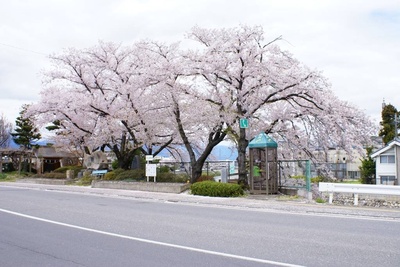 白线流 25岁的海报-正式海报 日本