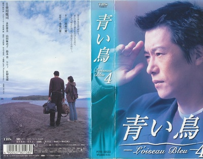 青鸟的海报-其他海报 DVD封面
