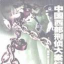 中国西部刑侦大案纪实