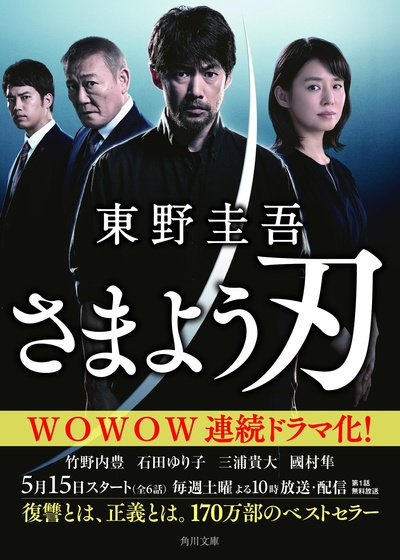 彷徨之刃的海报-正式海报