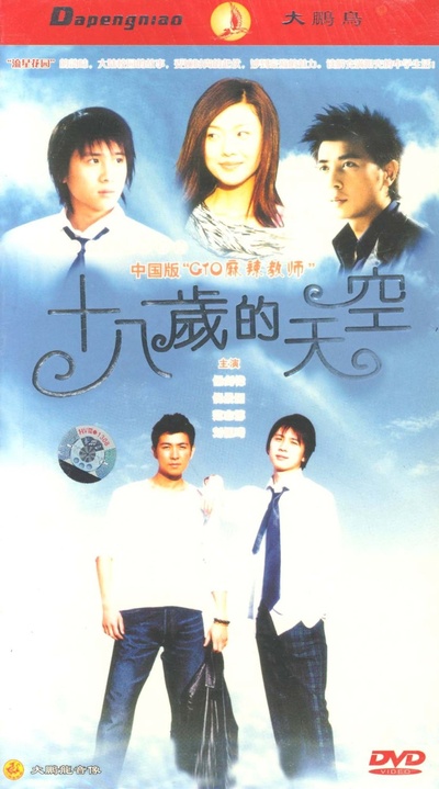 十八岁的天空的海报-正式海报
