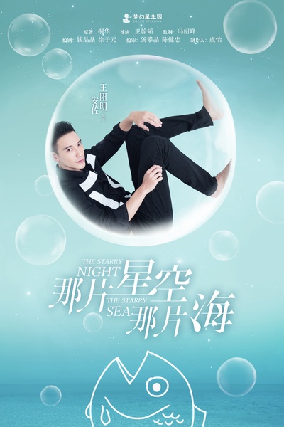 那片星空那片海的海报-角色海报