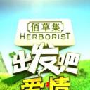 出发吧爱情
