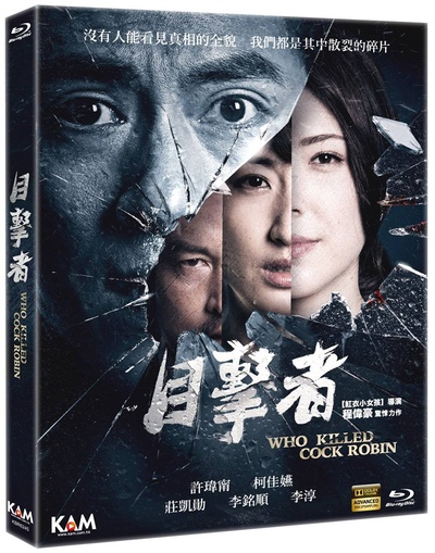 目击者之追凶的海报-其他海报 香港