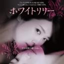 白百合