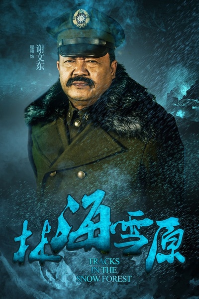 林海雪原的海报-角色海报
