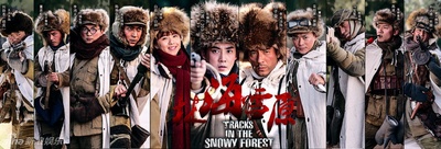林海雪原的海报-预告海报